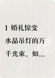 葬礼才是我的婚礼