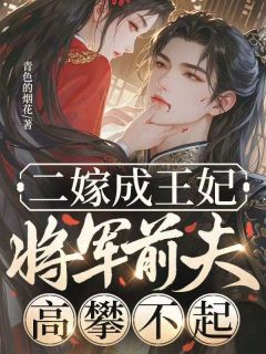 二嫁成王妃,将军前夫高攀不起