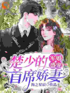 先婚后爱!高冷军官他宠妻上头