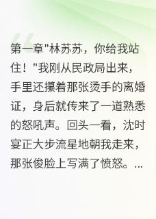 离婚当天，竹马带聘礼抢我回大院