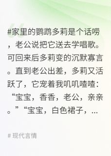 宠物鹦鹉学乖后,出卖了老公第二个家