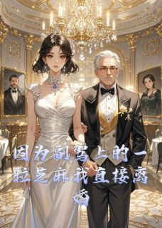 《因为副驾上的一粒芝麻我直接离婚》免费阅读 李远哲白若薇小说免费试读