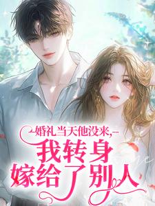 岁宁贺宴铮贺祁然by淮夏 婚礼当天他没来,我转身嫁给了别人免费在线全文阅读
