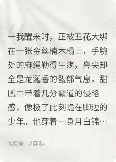 穿成耽美文炮灰后,我决定摆烂
