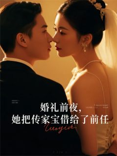 《婚礼前夜，她把传家宝借给了前任》苏晴顾帆陈默全文在线试读