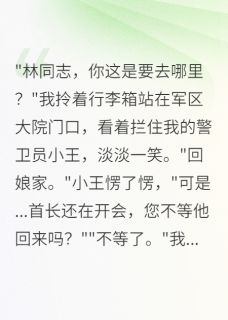 曹大王建华书名叫什么_七零年代:我罢工后首长急疯了
