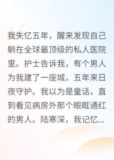 《失忆五年前夫为我建座城》小说完结版免费试读 陆寒深苏暖小说阅读
