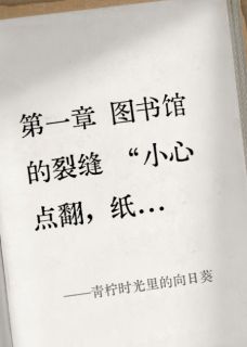 《青柠时光里的向日葵》全文免费章节在线试读 苏晚沈辞安小说