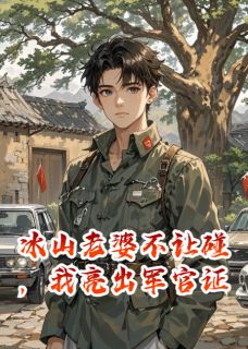 冰山老婆不让碰,我亮出军官证