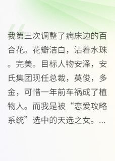 好书推荐《绑错攻略对象后》安哲安泽全文在线阅读