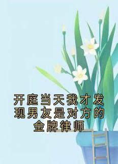 开庭当天我才发现男友是对方的金牌律师