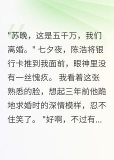 《老公七夕送我五千万分手费》小说大结局在线阅读 陈浩林雨菲苏晚小说全文