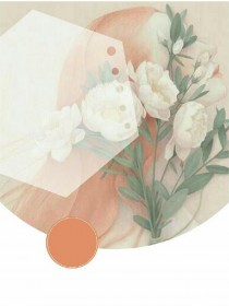 婆婆说我不下蛋，联合我丈夫把我卖了