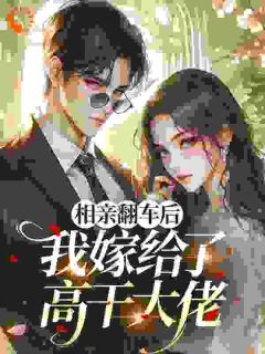 相亲翻车后,我嫁给了高干大佬