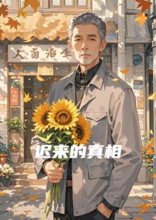 《让我有机会重新爱你》林晚林念章节目录免费试读