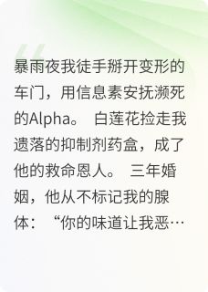 《三年不被爱,我走了你后悔什么?》小说大结局精彩阅读 沈微顾衍小说阅读
