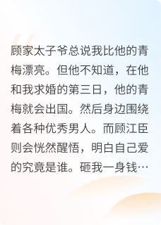 他追青梅出国后,我放弃订婚