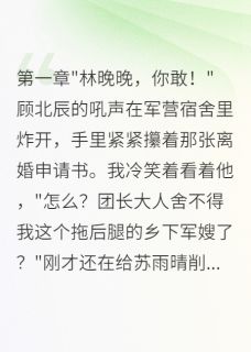 《回到七零，我让军官老公下跪求婚》小说大结局免费阅读 顾北辰晚晚苏雨晴小说阅读