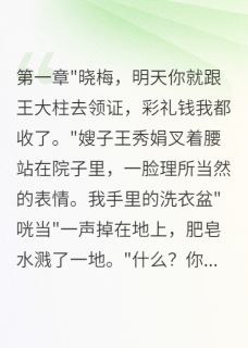 《抢要下乡名额后我逆袭成大学教授》晓梅李大山章节免费阅读