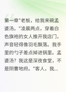 《深夜食堂里的秘密客人》小说完结版在线阅读 王安小雨小说全文