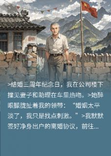 向阳花开年陈默林溪苏晴目录 向阳花开年小说阅读