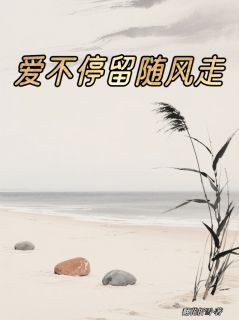 爱不停留随风去