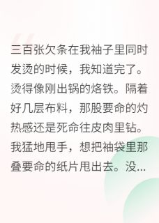 穿书后我成了全修真界的债主