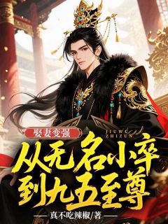 娶妻变强,从无名小卒到九五至尊