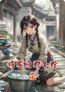 将军府的小野花