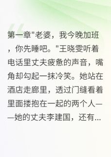 王晓雯张美美小说 《老公出轨后悔断肠》小说全文免费试读