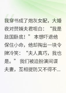 赘婿夫君是卧底?巧了,我也是!