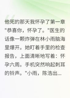 他死的那天我怀孕了小说全文免费试读 林小雨陈浩苏晓全文精彩章节章节
