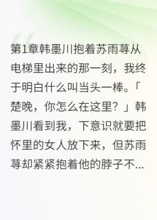 《小三上位梦碎,我成最大赢家》小说章节目录免费阅读 韩墨川苏雨荨小说全文