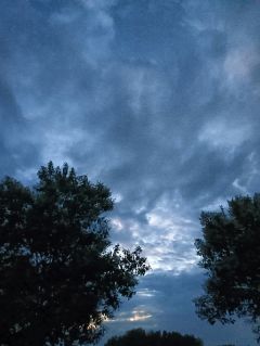 骆文东的江湖人生