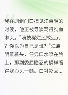 颜控女总裁的包养日记