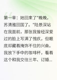 竹马为白月光弃我，嫁豪门他疯了