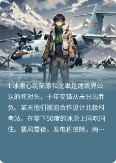 你比北极光难懂