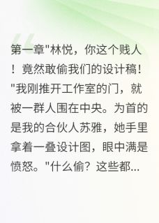 《合伙人偷走我千万设计费后悔疯》苏雅陈浩林悦章节精彩试读