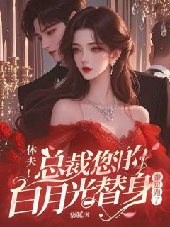 休夫！总裁您的白月光替身带崽跑了