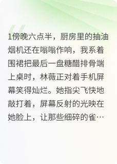 《做内衣模特的妻子》林薇苏晴王浩小说在线阅读