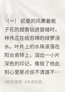 出轨后还能和好吗?免费阅读 林伟苏晴陈峰的小说在线阅读