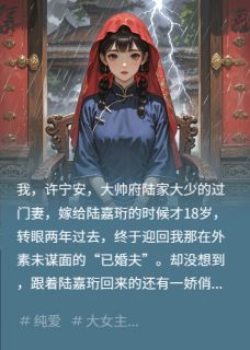 民国迂腐少奶奶她其实又美又强