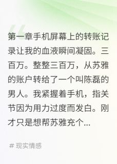 《发现妻子转账三百万后我疯了》苏雅陈磊章节免费试读 苏雅陈磊是什么小说