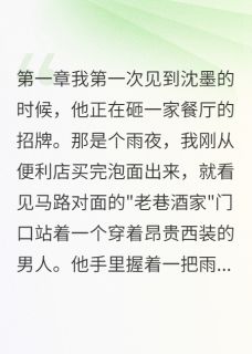 《我给躁郁症老板当镇静剂》小说全文精彩试读 沈墨白晚小说全文