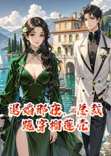 退婚那夜，总裁跪穿榴莲壳许念傅凌舟顾承泽全本在线阅读