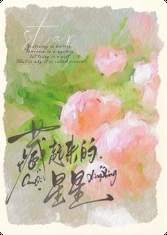 《藏起来的星星》小说章节目录免费试读 斤斤昕昕小说全文