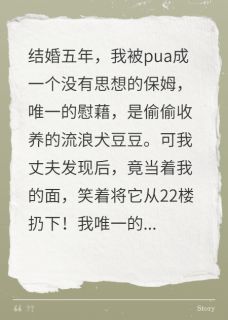 《他从22楼扔下我的狗，儿子作伪证》贺鸣舟贺昭完结版免费试读
