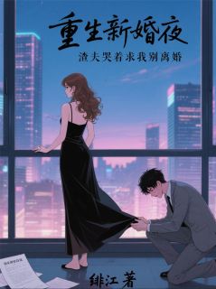 重生新婚夜,渣夫哭着求我别离婚