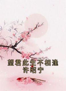 《望君此生不相逢许昭宁》许昭宁赵璟大结局精彩试读