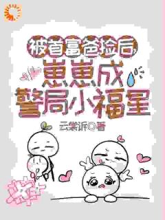 被首富爸捡后,崽崽成警局小福星